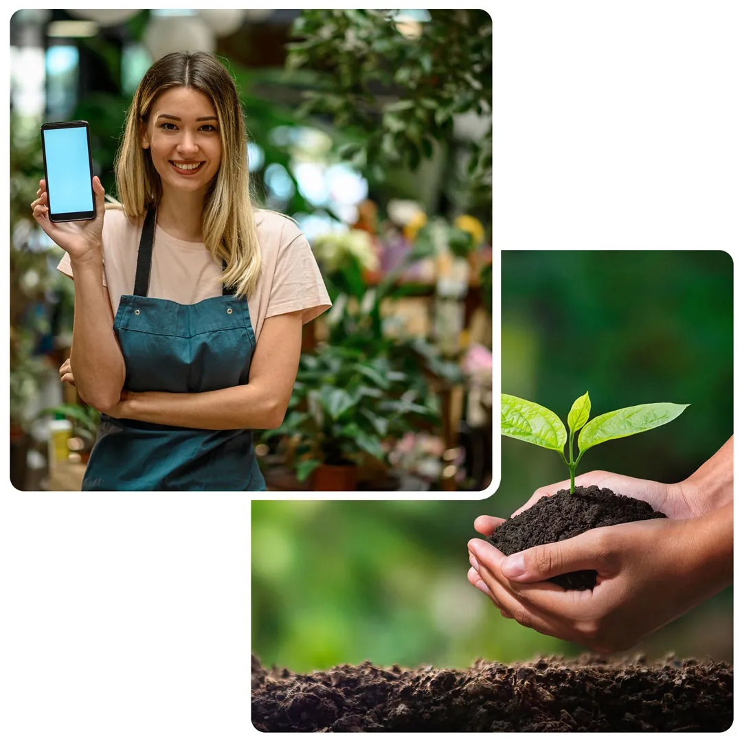 Affordable Landscaping Affordable Landscaping