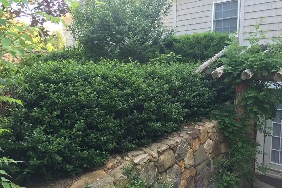 Reliable Landscaping Company in Riverhead, NY